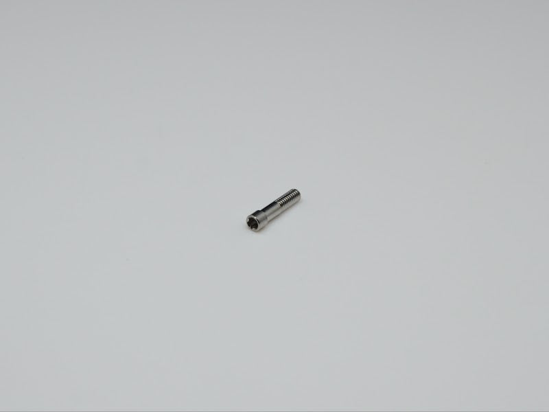 Prosthetic Screw compatible with Bredent Sky — image 1
