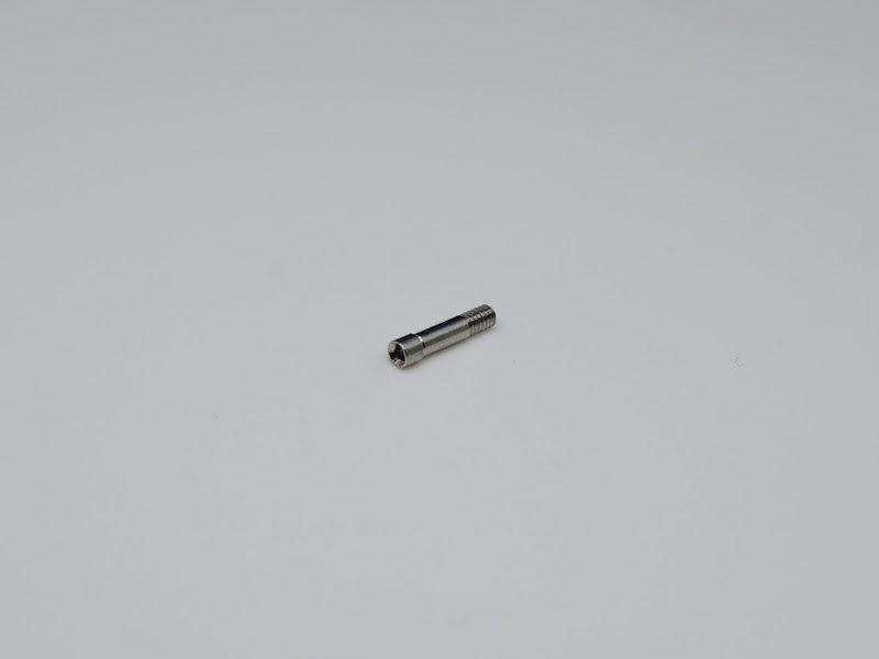 Prosthetic Screw compatible with Megagen Anyone — image 1